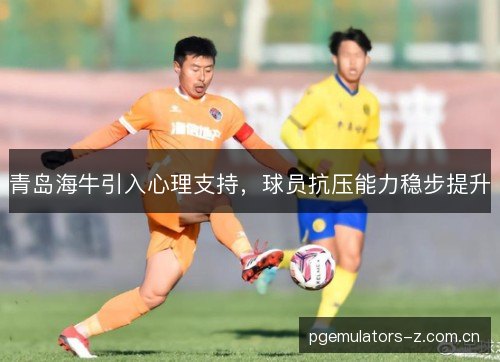 青岛海牛引入心理支持，球员抗压能力稳步提升